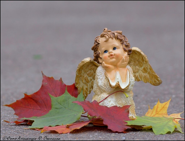 Осенний ангел