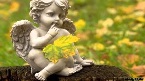 Ангел осенью