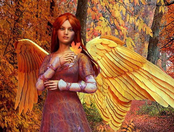 Ангелочек осень