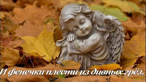Ангелочки осень