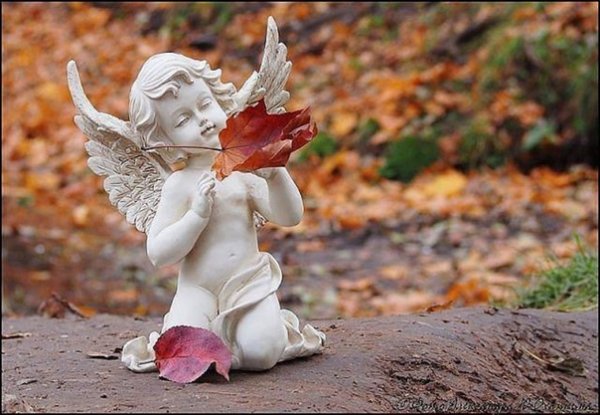 Ангел осенью