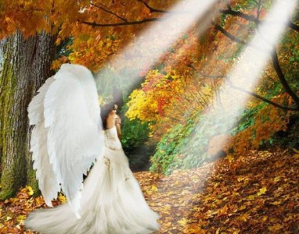 Осенний ангел