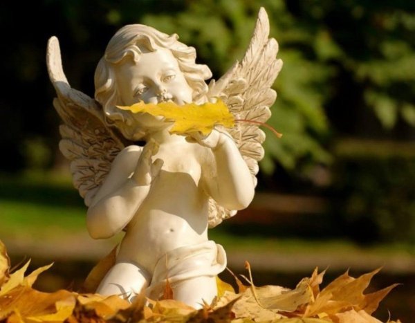 Осенний ангел-хранитель