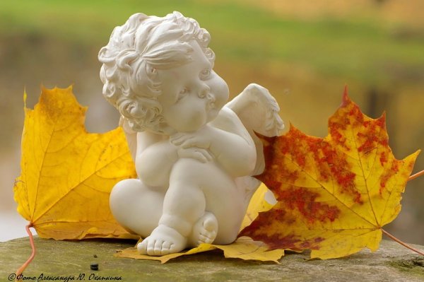 Осенний ангел