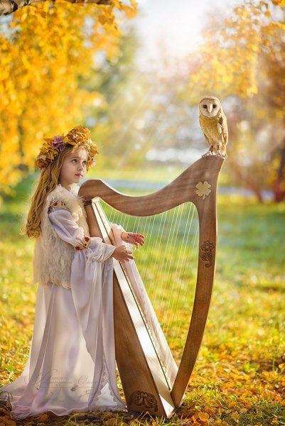 Девушка с арфой в лесу