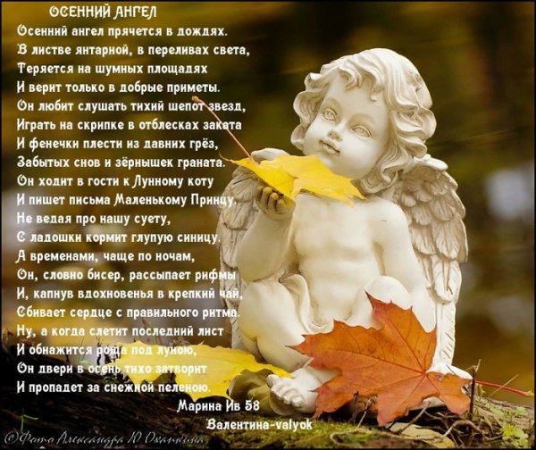 Осенний ангел стихи