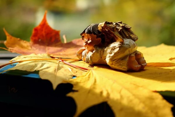 Осенний Ангелочек