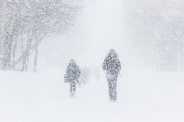 Снегопад метель
