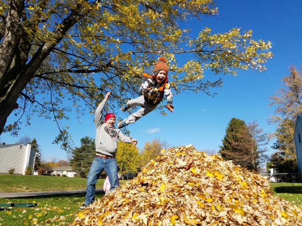 Приколы про осень