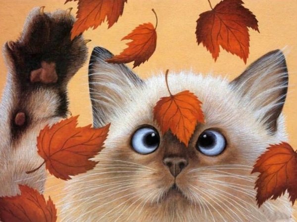 Красивые обложки для одноклассников