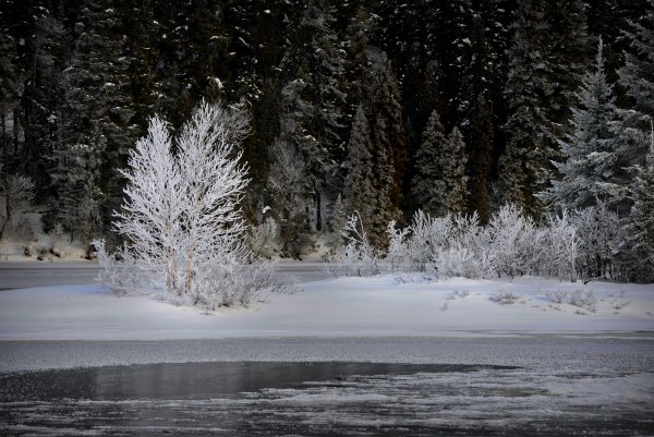 Холодная зима фото