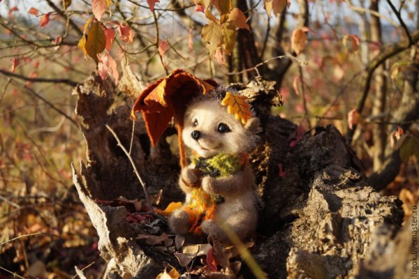 Осенний Ёжик