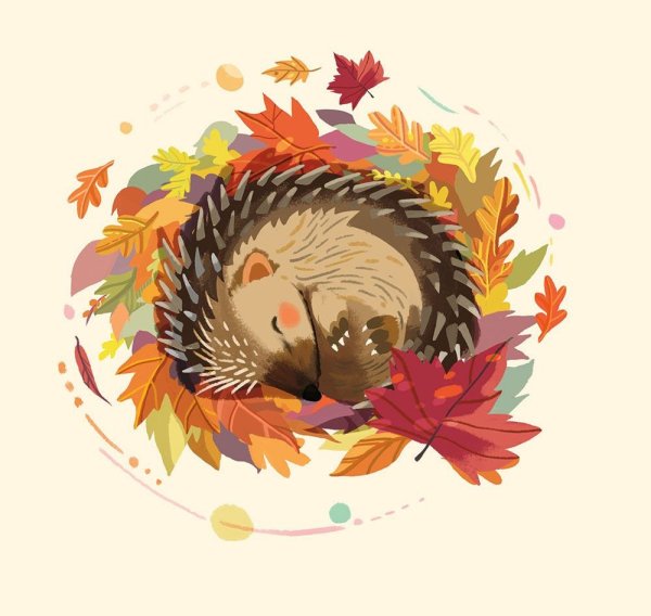 Ежик в осенних листьях