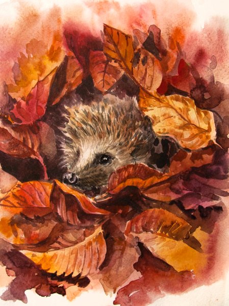 Ежик осенью