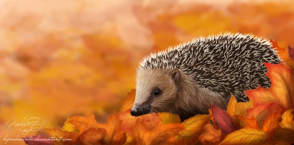 Ёж с осенними листочками
