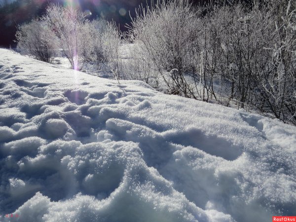 Пушистые сугробы