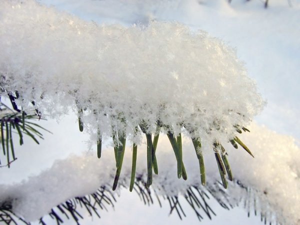 Белый снег пушистый