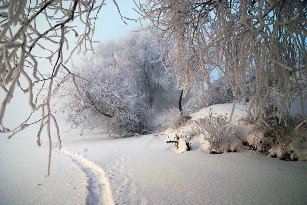 Запорошило снегом