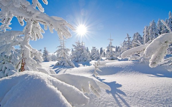 Белоснежная зима