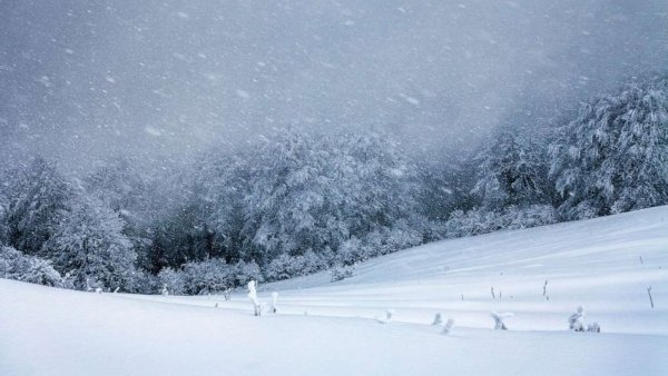 Снежная метель