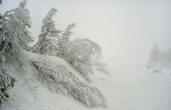 Метель Пурга