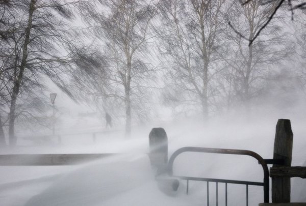 Снежная метель