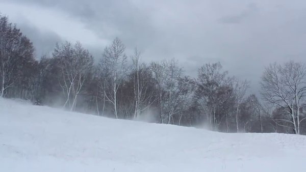 Снежная буря