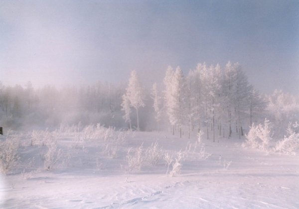 Буран Снежная буря