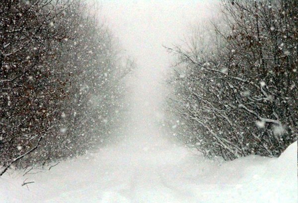 Февральская метель