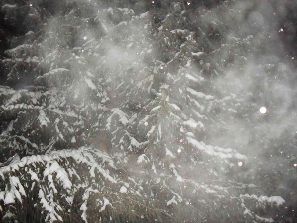 Снежная буря