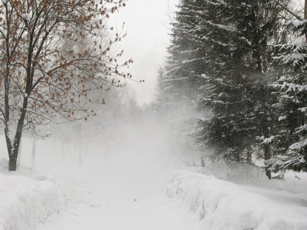 Метель зимой