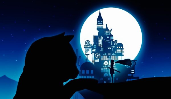 Кот на фоне ночного города