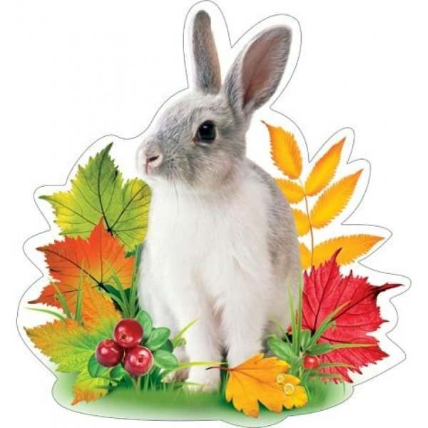 Осенние животные для детей