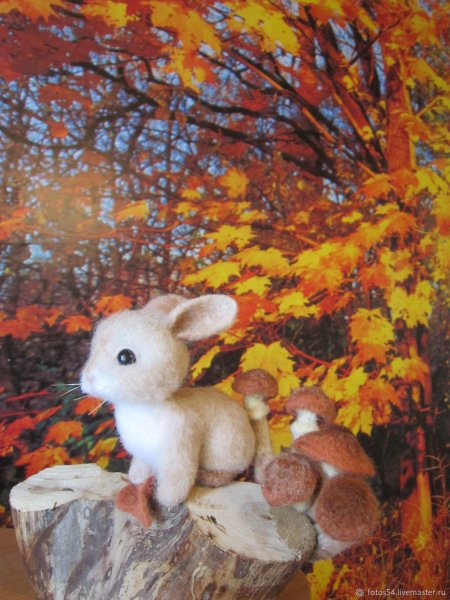 Зайчик осень