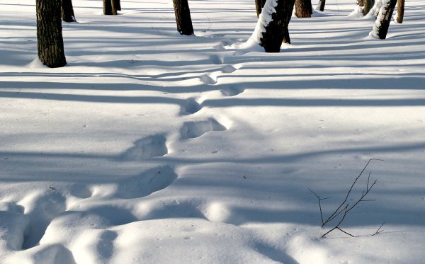 Глубокие сугробы