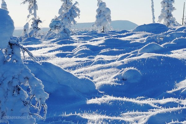 Снежная круговерть