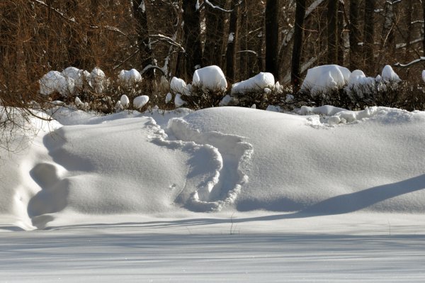 Очень большие сугробы снега