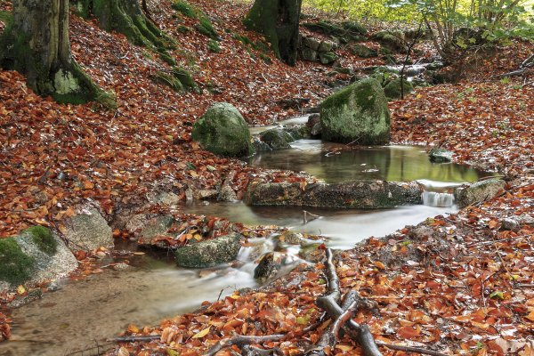 Зашумели воды быстрого ручья