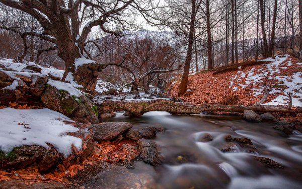 Глубокая осень
