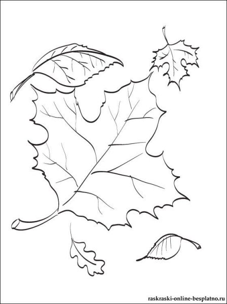 Рисунок осеннего листочка для срисовки