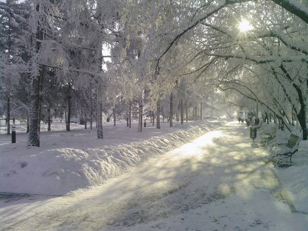 Красивый зимний день в городе