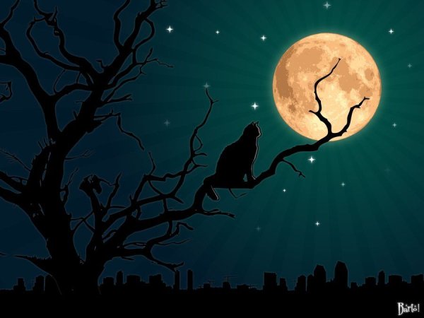 Сказочное полнолуние