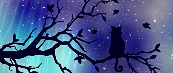 Силуэт кошки на фоне Луны