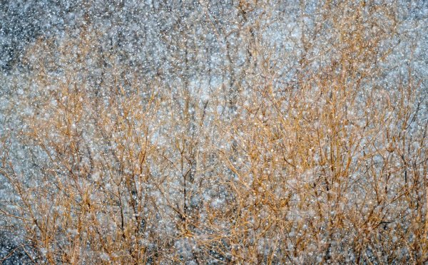 И Э Грабарь Мартовский снег