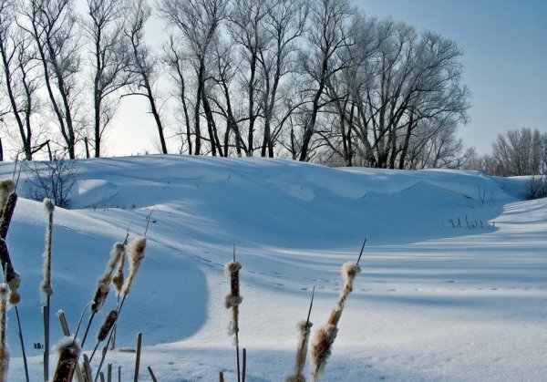 Мартовский снег картинки