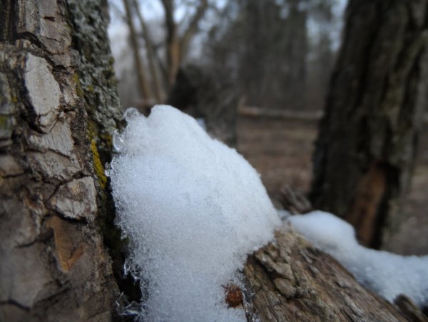Мартовский снег картинки