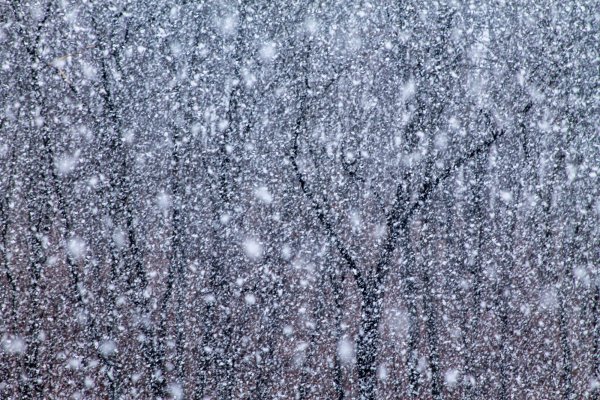 Мартовский снег