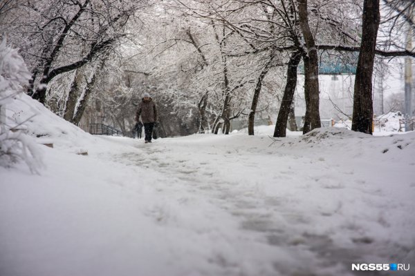 Парки Москвы покрылись снегом
