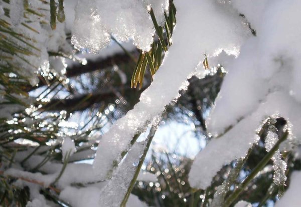Мартовский снегопад