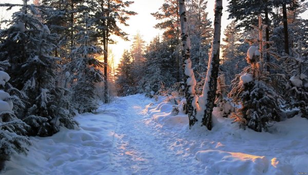 Немного снега